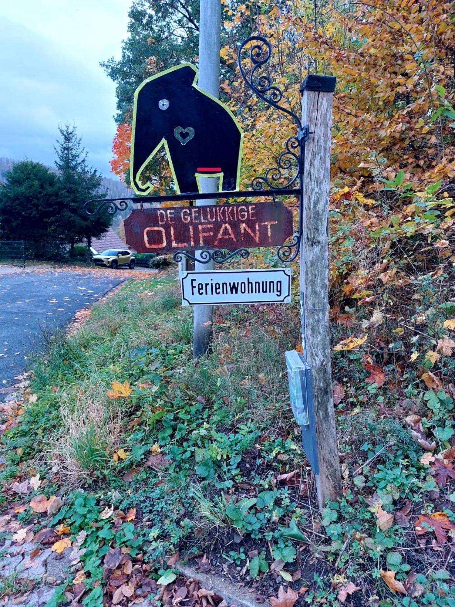 Olifant In Osterode